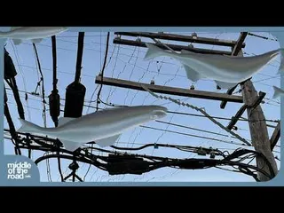 Thumbnail for MIDDLE OF THE ROAD RADIO 210217 underscores Guest Mix "fishmonger Dj Set1 '2h3'"