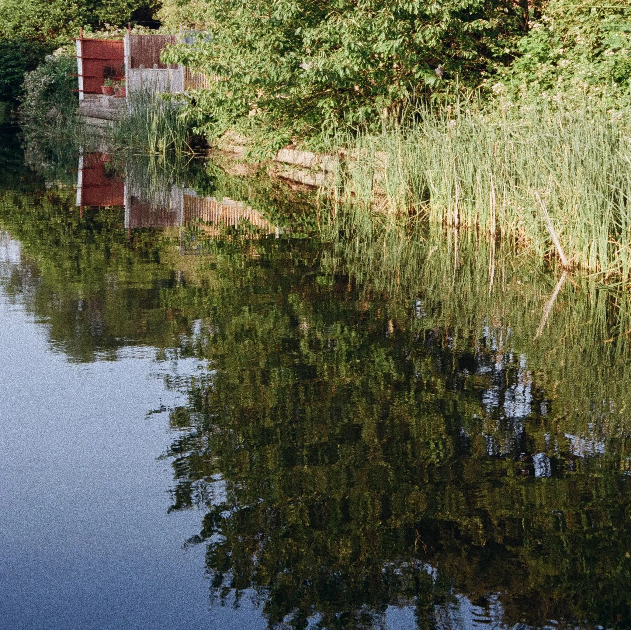 Stepping back Background